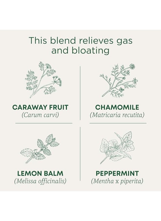 Organic Gas Relief Chamomile Mint - pzsku/ZDA846D0FC66A9D1CE56AZ/45/_/1721979025/52c049b5-f926-4db5-b569-dc7b56d8a89b