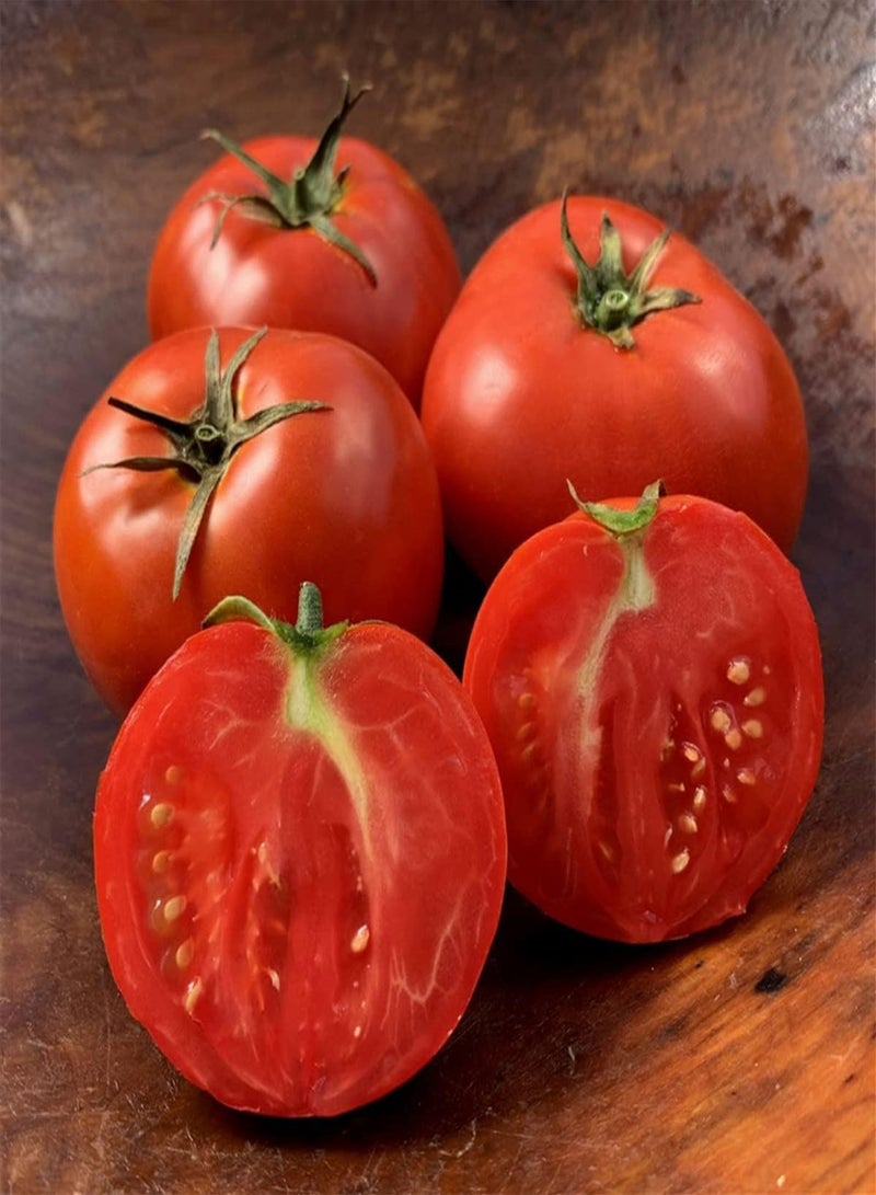 GGOOT Tomato F1 Supersteak - Solanum Lycopersicum Vegetable Seeds, Home Garden Planting by Heavy Torch, 10 Seeds - Image 3