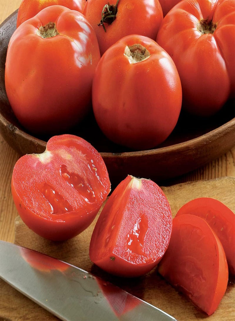 GGOOT Tomato F1 Supersteak - Solanum Lycopersicum Vegetable Seeds, Home Garden Planting by Heavy Torch, 10 Seeds - Image 4