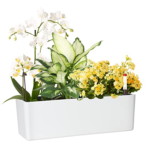 GardenBasix Elongated Self Watering Planter Pots Window Box 5.5 x 16 inch Indoor Home Garden Modern Decorative Planter Pot for All House Plants Flowers Herbs (White,1-Pack) - Image 1