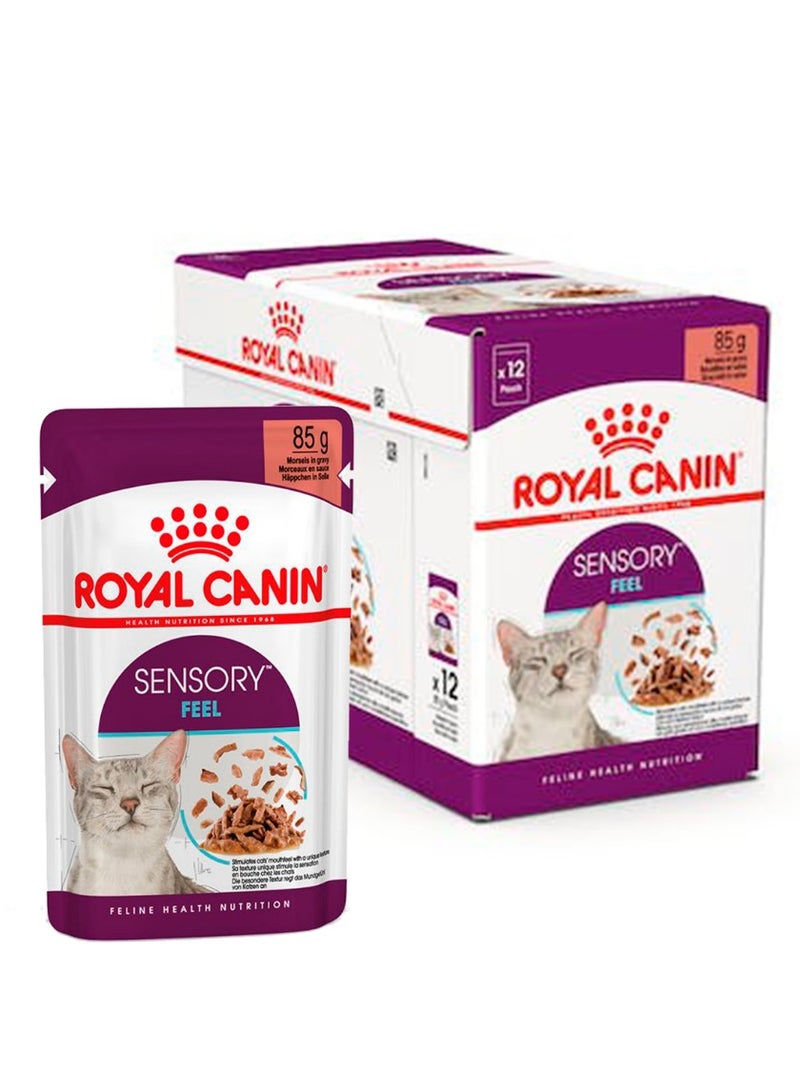 رويال كانين - إحساس حسي للتغذية الصحية للقطط (مرق) / صندوق واحد (12 كيس)