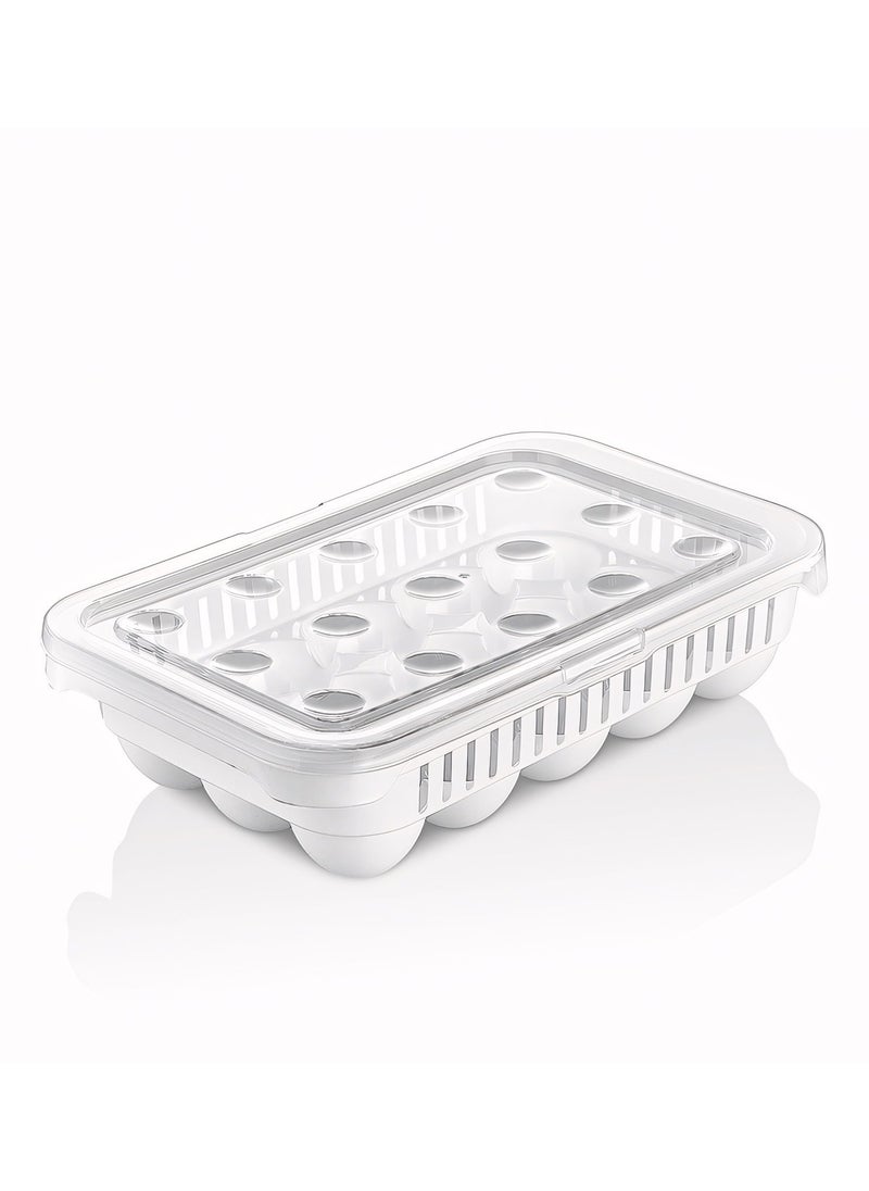 MAXQON 15 Eggs Storage Tray Premium Quality Fridge Organiser  - Image 1