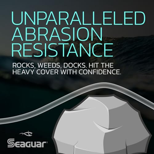 Seaguar Red Label 100% Fluorocarbon Fishing Line 20lbs, 175yds, Clear - 20RM175 - Image 3