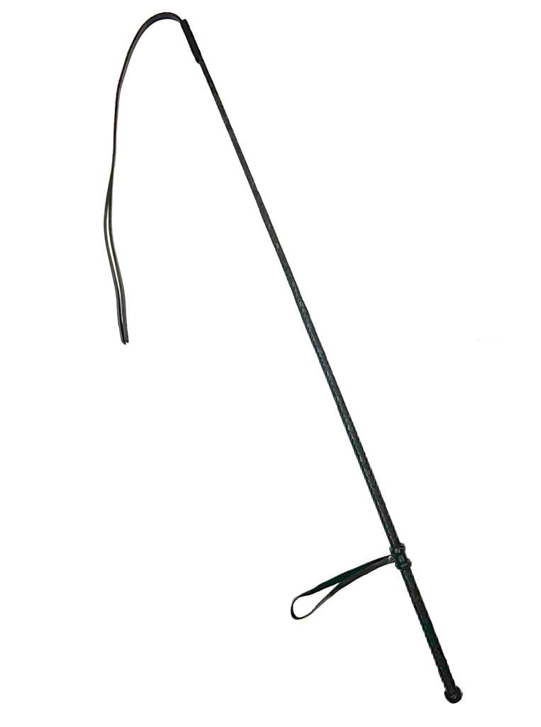 PETS TRIANGLE 40" Long Horse Training Stick with Genuine Leather Grip Handles and Leather Popper (Gray) - Image 1