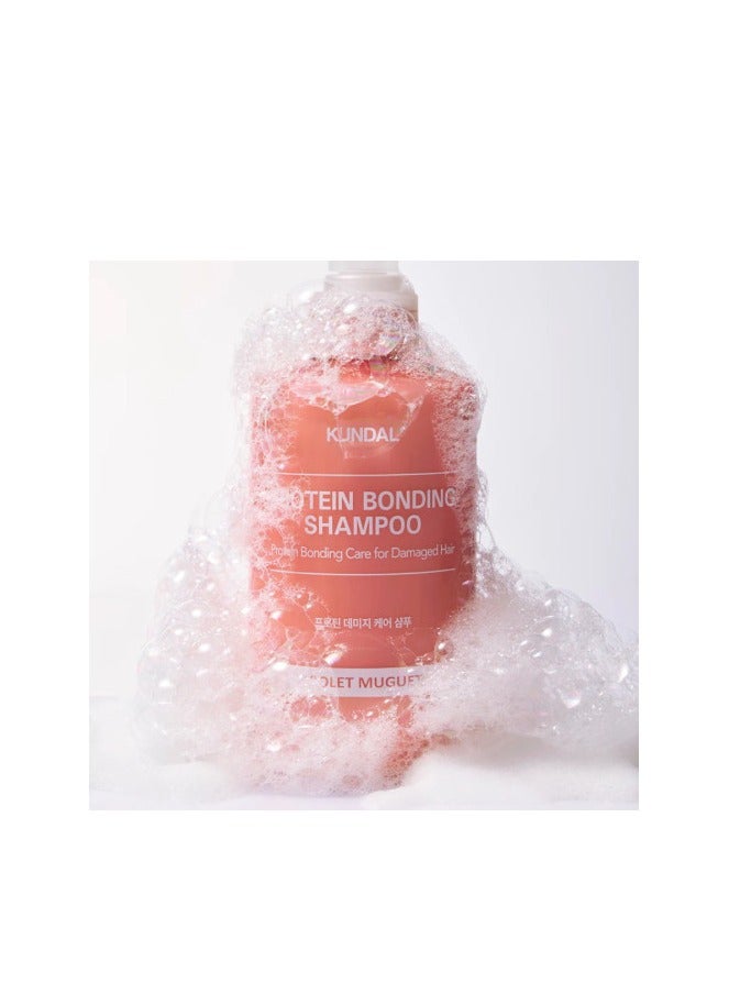 كاندال كوندال شامبو للعناية بالبروتينات المتضررة - فيوليت موغيت - 500 مل - Image 4