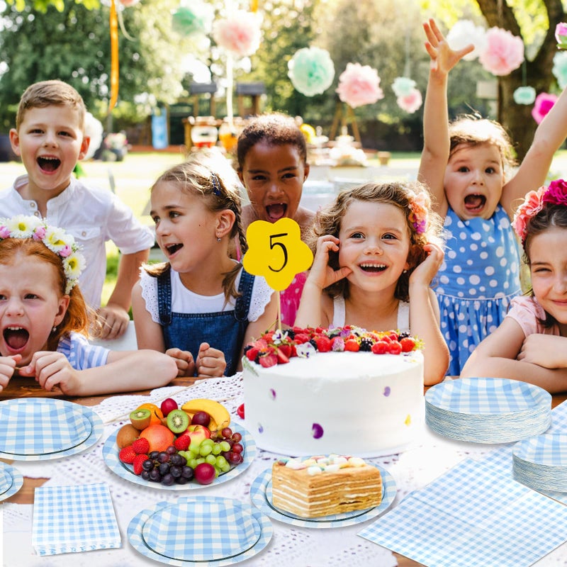 Hpscdyo 180Pcs Blue Gingham Party Supplies Paper Plates and Napkins Serve 60 Disposable Tableware Set for Birthday Party Decorations Game Day Family Holiday Sports Events - Image 5