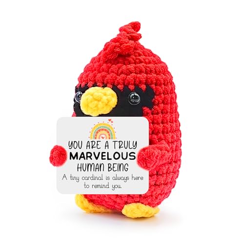 MHSMHL Cardinal Gifts for Women Handmade Crochet Cardinal with Inspirational Message Emotional Support Cardinal Gift for Teens Coworkers Graduation Friendship Christmas Stocking Stuffers - Image 1