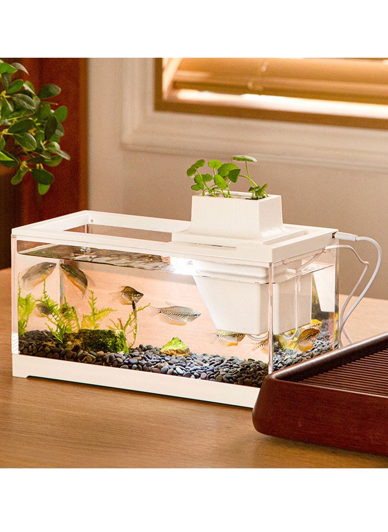 Generic Aquarium Fish Tank Mini  - Image 3