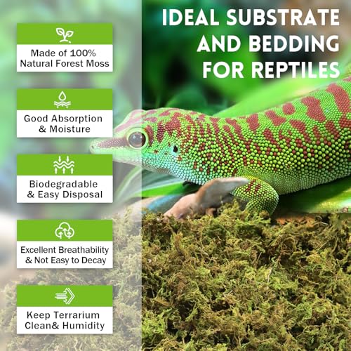 Riare 3.5 OZ Premium Sphagnum Moss for Reptiles- 4QT Natural Live Moss Reptile Moss Bedding for Terrarium, Hatching, Forest Sphagnum Moss Reptile Substrate for Snakes, Gecko, Turtles, Frogs, Leopard - Image 3