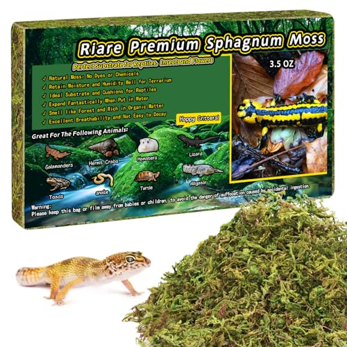 Riare 3.5 OZ Premium Sphagnum Moss for Reptiles- 4QT Natural Live Moss Reptile Moss Bedding for Terrarium, Hatching, Forest Sphagnum Moss Reptile Substrate for Snakes, Gecko, Turtles, Frogs, Leopard - Image 1