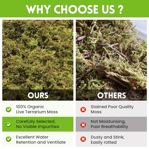 Riare 3.5 OZ Premium Sphagnum Moss for Reptiles- 4QT Natural Live Moss Reptile Moss Bedding for Terrarium, Hatching, Forest Sphagnum Moss Reptile Substrate for Snakes, Gecko, Turtles, Frogs, Leopard - Image 5