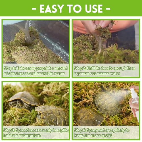 Riare 3.5 OZ Premium Sphagnum Moss for Reptiles- 4QT Natural Live Moss Reptile Moss Bedding for Terrarium, Hatching, Forest Sphagnum Moss Reptile Substrate for Snakes, Gecko, Turtles, Frogs, Leopard - Image 4