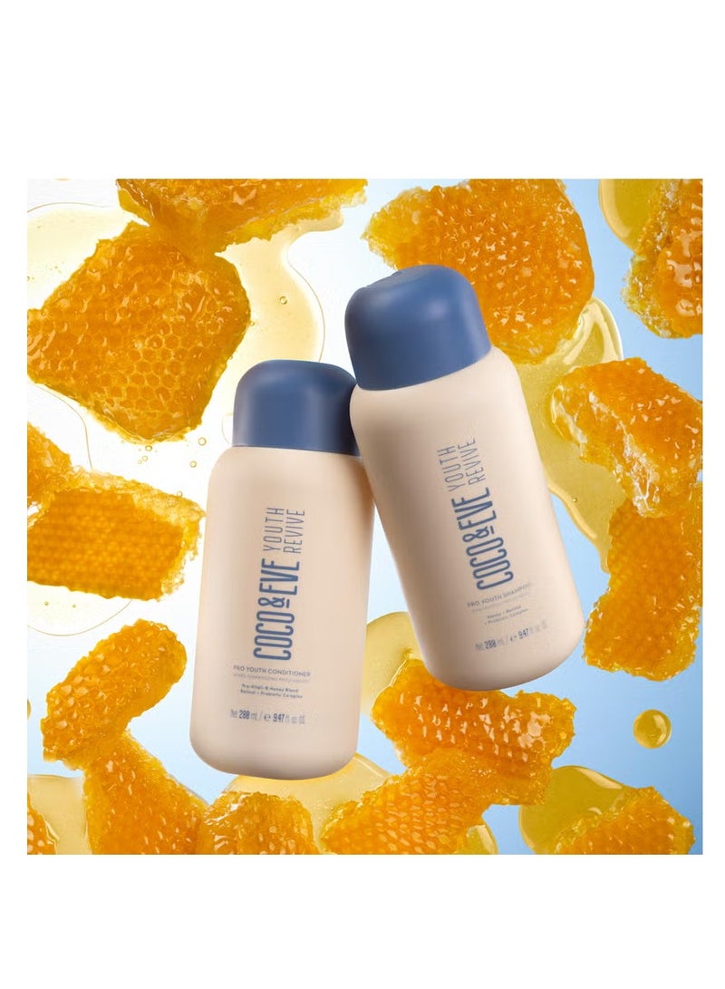 Coco & Eve Youth Revive Shampoo and Conditioner Duo - Image 4