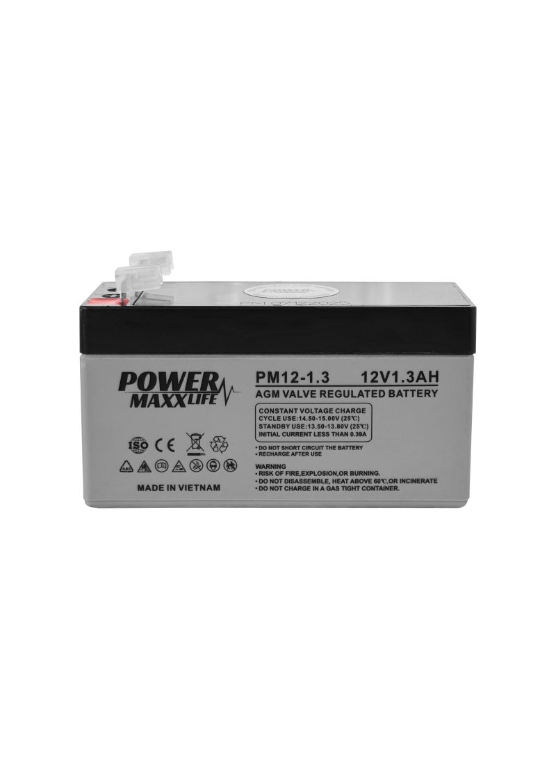 12V Sealed Lead Acid Battery 12V 1.3Ah , AGM Rechargeable Maintenance-Free Power Cell for UPS, Alarm, Emergency Light, Security & Backup Power | PM12-1.3