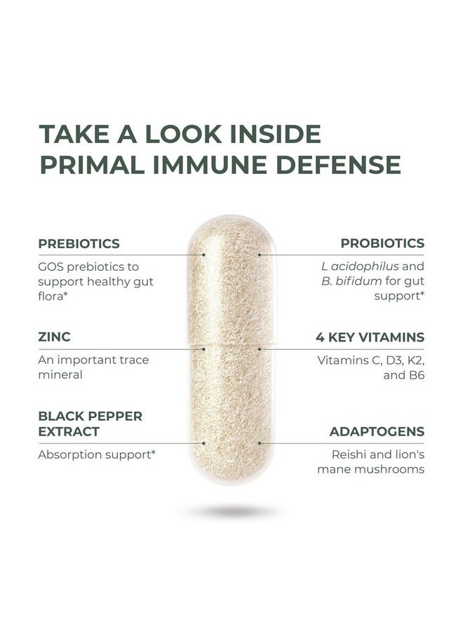 Primal Harvest Primal Harvest Primal Immune Defense 10 in 1 Immune Support Supplement 60 Capsules Immune Vitamins, with 7 Billion CFU Pre and Probiotics, Zinc, VIT C, B6, D3, K2 - Immune Boosters for Adults  - Image 4