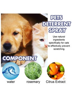 YEGBONG Pets Deterrent Spray，Cat Scratch Deterrent Spray,Stop Cats Scratching Furniture,Stop Spray for Cats and Dogs(50ML)  - Image 2