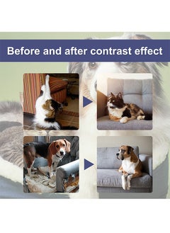 YEGBONG Pets Deterrent Spray，Cat Scratch Deterrent Spray,Stop Cats Scratching Furniture,Stop Spray for Cats and Dogs(50ML)  - Image 3