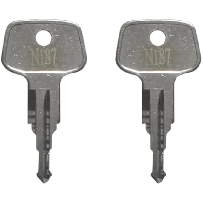 rayihni N187 Key Replacement (2 Pcs) for Thule Ski,Cargo Box,Roof,Crossbars and Carrier Racks Code N187 - Image 2