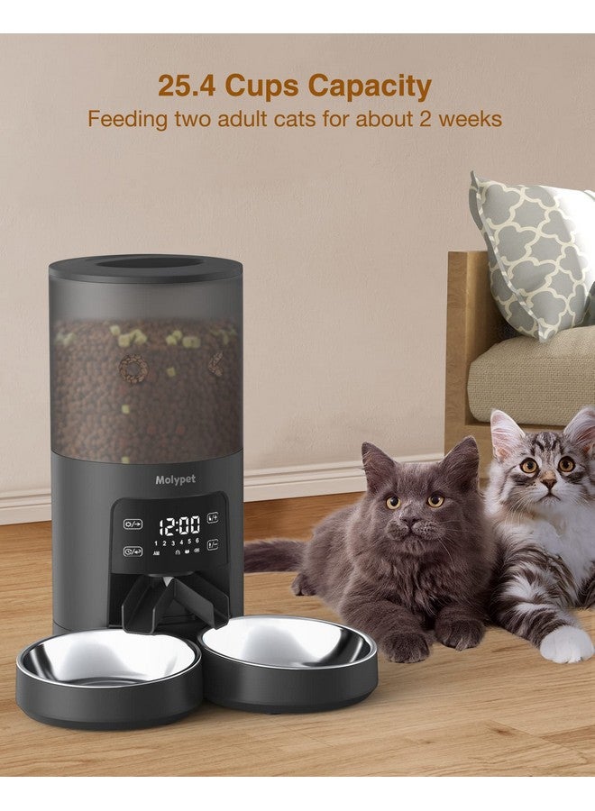 Molypet Automatic Cat Feeders For 2 Cats  6L Cat Food Dispenser With Double Bowls, Programmable Timed Cat Feeder Up To 6 Meals Per Day With 10S Voice Recorder, Support Dual Power Supply - Image 3