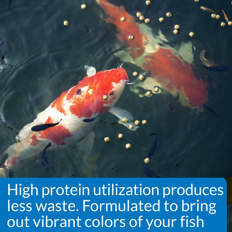 API POND COOL WATER FOOD Pond Fish Food 1.40-Pound Bag - Image 5