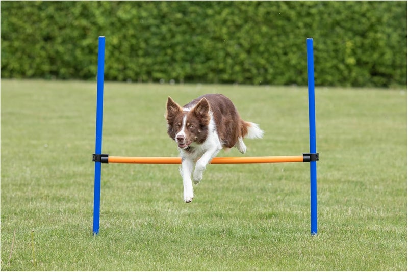 TRIXIE Agility Hurdle Adjustable Dog Jump Ideal for Beginners  Advanced Dog Obstacle Course Equipment 1 x Hurdle - Image 2