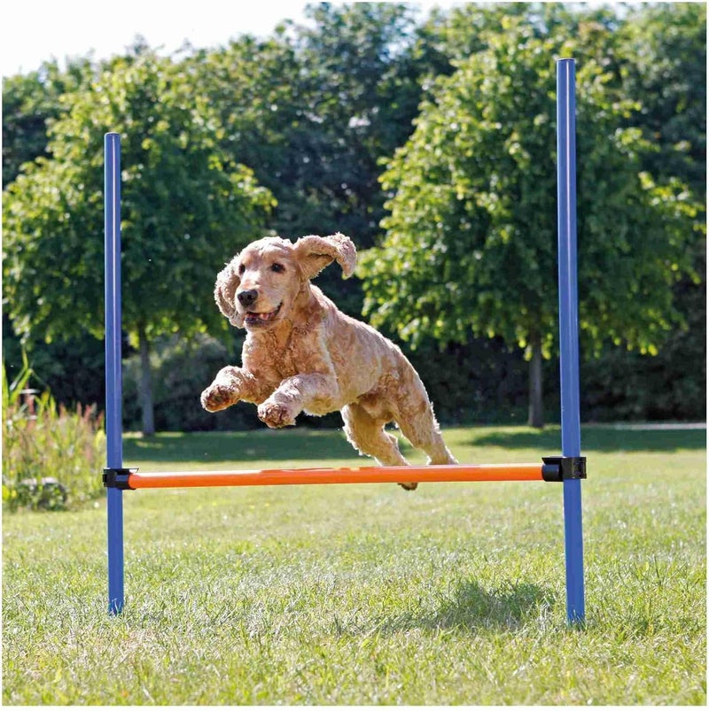 TRIXIE Agility Hurdle Adjustable Dog Jump Ideal for Beginners  Advanced Dog Obstacle Course Equipment 1 x Hurdle - Image 3