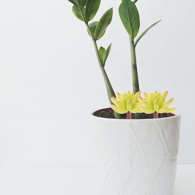 🌱 نباتات صناعية صغيرة لتنسيق المناظر الطبيعية المصغرة تصميم واقعي لوازم صناعة يدوية - Image 4