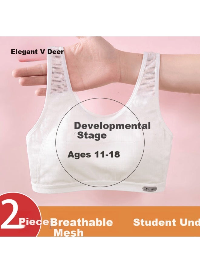 Yalu Girls' Developmental Underwear 10-year-old Thin Mesh Children's Bra Primary School Girls Stage 2 Vest - Image 1