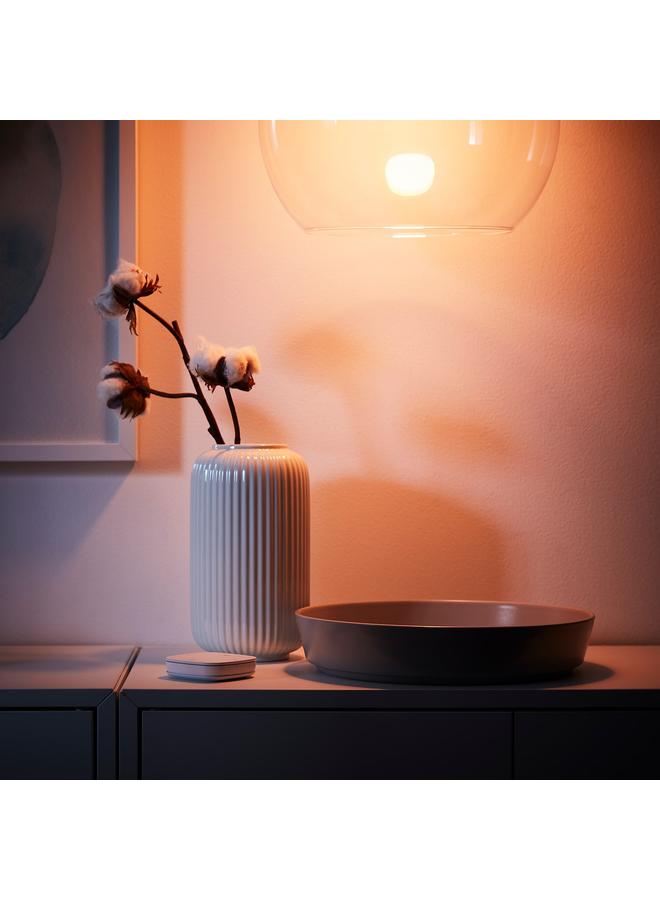 Zaboon Remote Control Kit, Smart Wireless Dimmable/Colour And White Spectrum, E27 - Image 3