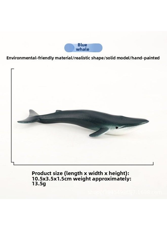 Simulation Mini Marine Animal Model Whale Shark Dolphin Turtle Sea Lion Solid Toy Set-Color:127-2032 Moby Dick