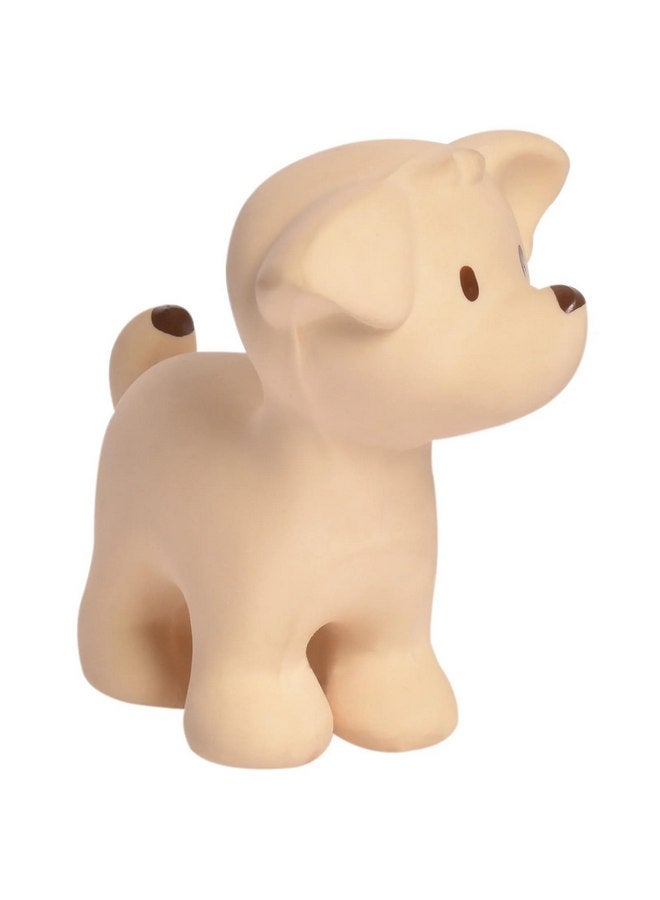 Tikiri Puppy Organic Natural Rubber Rattle, Teether & Bath Toy - Image 3