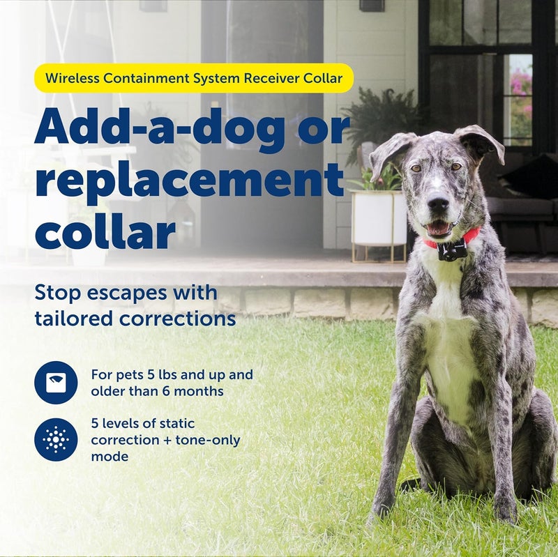 PetSafe Wireless Pet Containment System Receiver Collar - Waterproof & Adjustable with 5 Correction Levels for Dogs 8lbs+ - Image 2