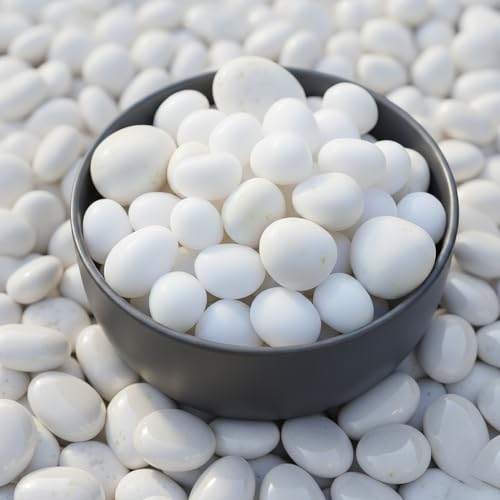 Schmick 1 Kg Polished White Pebbles Stones for Plant pots, Aquarium/Fish Tank, Decorations, Garden, Tables, and Home Decor (1 Kg, White Stone) - Image 1