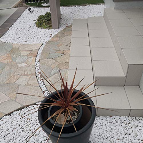 Schmick 1 Kg Polished White Pebbles Stones for Plant pots, Aquarium/Fish Tank, Decorations, Garden, Tables, and Home Decor (1 Kg, White Stone) - Image 3