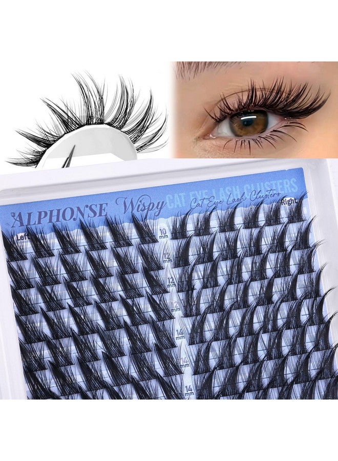 alphonse Cat Eye Lash Clusters Kit Wispy Cluster Eyelash Extensions Kit 10-16mm Individual Lashes Clusters Natural DIY Lash Extension Kit for Beginners with Lash Bond and Seal by ALPHONSE - Image 2