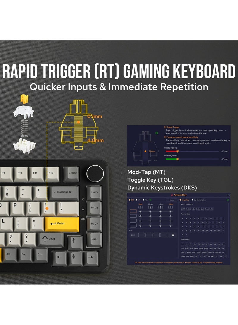 A-jazz AK820 MAX HE Hall Effect Magnetic Gaming Keyboard Adjustable Actuation 8KHz Polling Rate Wired Rapid Fast Keyboard Creamy Gasket RGB Backlight NKRO for Win Mac  - Image 4