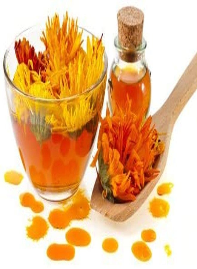 Nature Tea Calendula Flower - Premium Dried Whole Loose Flower - by Nature Tea (1 oz) - Image 5
