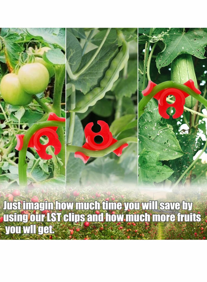 SYOSI Plant Bender, 90° Low Stress Training Clip, LST Stem Support Clip for Tomato Stems, Branches, Bonsai Styling, Garden (30 Pcs)  - Image 4