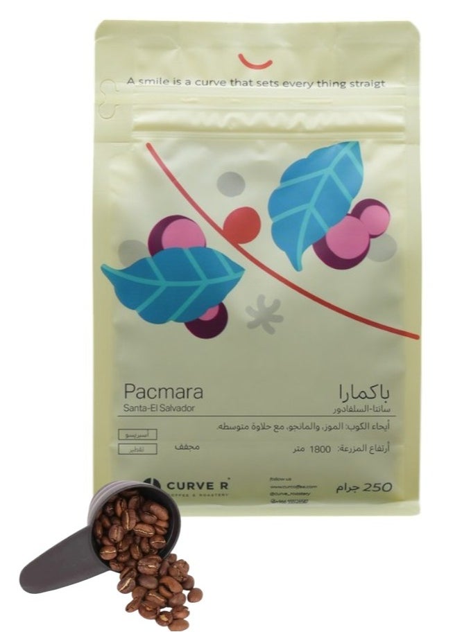 Curve Coffee bean PACAMARA ELSALVADOR Espresso 250G Unground roasted coffee beans for specialty coffee With a coffee scale spoon  - Image 1