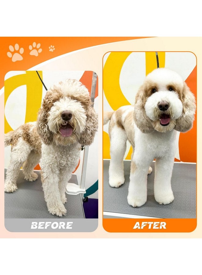 جيسون مجموعة مقصات العناية بالكلاب من جيسون، مجموعة مقصات احترافية 6 في 1 للكلاب - مقصات ترقق 6.5 بوصة، مقصات مستقيمة 7 بوصة، مقصات منحنية لأعلى 7 بوصة، مقصات منحنية لأسفل 7 بوصة ومشط للكلاب والقطط والحيوانات الأليفة مع برغي قابل للتعديل (أسود) - Image 4