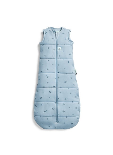 ergoPouch 2.5 Tog Jersey Sleeping Bag - Arms-Out Baby Sleep Sack - Soft, Breathable & Comfortable (8-24 Months, Dragonflies)