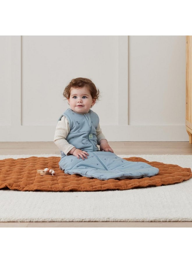 ergoPouch - ergoPouch 2.5 Tog Jersey Sleeping Bag - Arms-Out Baby Sleep Sack - Soft, Breathable & Comfortable (8-24 Months, Dragonflies) - Image 1