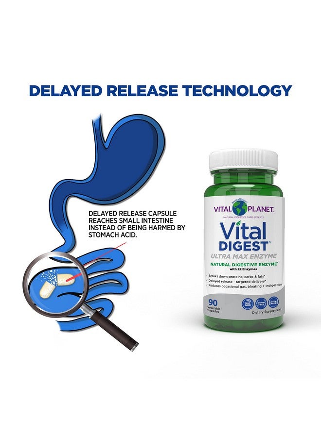 Vital Planet Vital Digest Natural Digestive Enzyme Supports The Breakdown Of Proteins Fats And Carbohydrates And Reduces Occasional Gas Bloating And Indigestion 90 Capsules - Image 4