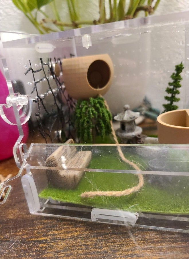 Okueejur Jumping Spider Hide with Magnets & Feeding Dish – Enclosure Accessories for Pet Jumping Spiders, Hideout Set for Spider Habitat (Pink) (Terrarium Not Included) - Image 3
