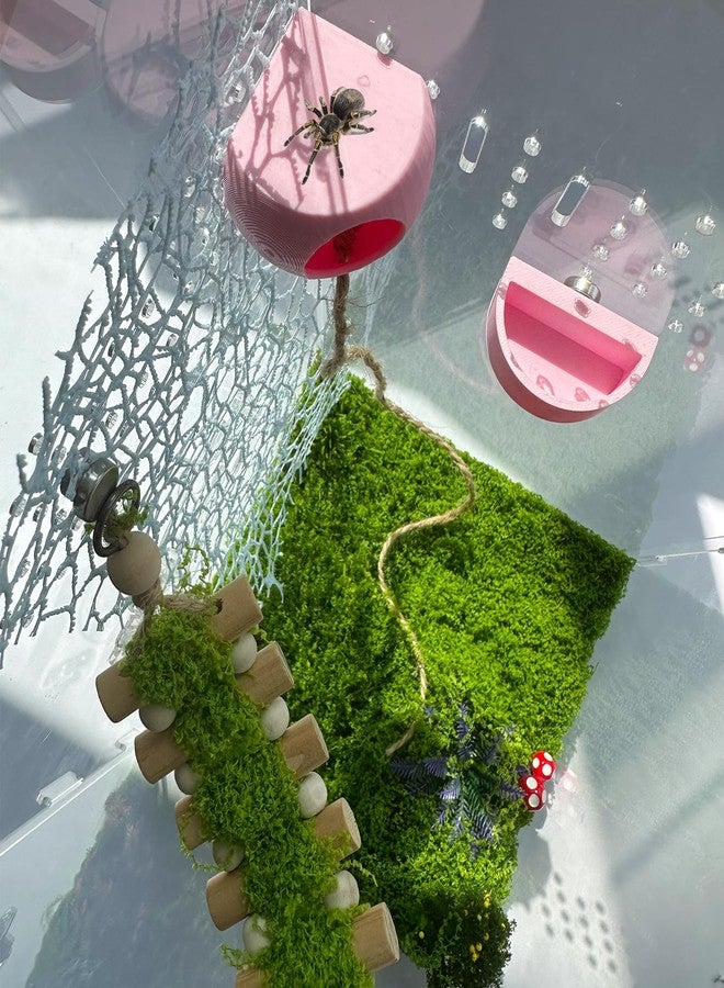 Okueejur Jumping Spider Hide with Magnets & Feeding Dish – Enclosure Accessories for Pet Jumping Spiders, Hideout Set for Spider Habitat (Pink) (Terrarium Not Included) - Image 1