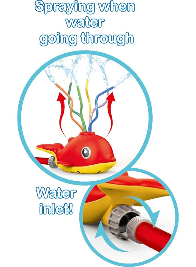 New Boy Aqua Dolphin Splash - Image 5