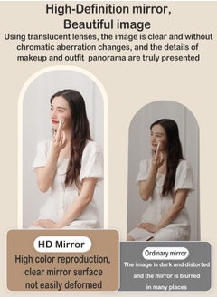 ZCM-HAPPY Stand Hanging or Against The Wall Large Bedroom Floor Mirror Vanity Mirror Wall Mounted Mirror With Luxury Flannel Frame (170x70cm)  - Image 4