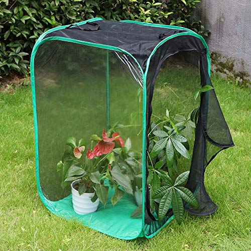 RESTCLOUD 36" Large Monarch Butterfly Habitat, Giant Collapsible Insect Mesh Cage Terrarium Pop-up 24 x 24 x 36 Inches - Image 4