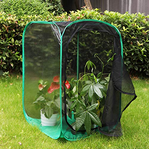RESTCLOUD 36" Large Monarch Butterfly Habitat, Giant Collapsible Insect Mesh Cage Terrarium Pop-up 24 x 24 x 36 Inches - Image 5