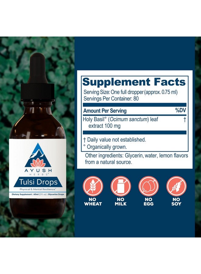Ayush Herbs Tulsi Drops - Alcohol-Free Tulsi Drops, Holy Basil Gylcerite, Natural Immune-Support Drops for Kids & Adults, Calm & Focus Booster - 2 Fl Oz (80 Servings) - Image 3